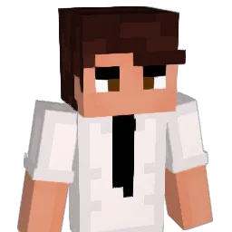 Anleitungen Minecraft avatar bust