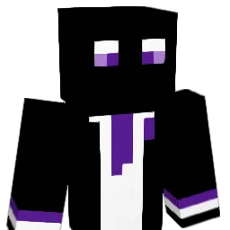 Anon_Lee Minecraft avatar bust