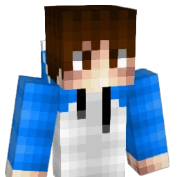 Anonimme Minecraft avatar bust