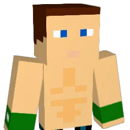 Anonizacja's Minecraft skin