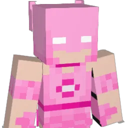 Anoosh2534 Minecraft avatar bust