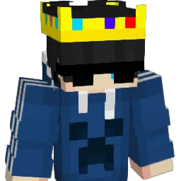 AnshExe_ Minecraft avatar bust