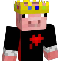 Anshu691 Minecraft avatar bust