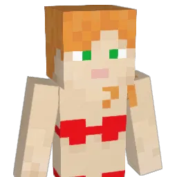 Ant_SDC Minecraft avatar bust