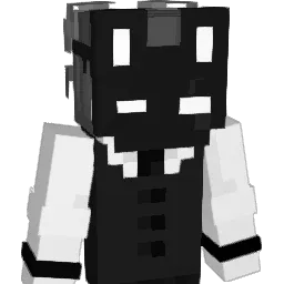Antek_65 Minecraft avatar bust