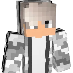 Anthonylin15 Minecraft avatar bust