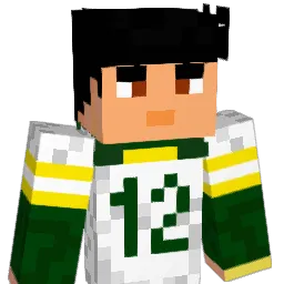 AnyGivenSunday Minecraft avatar bust