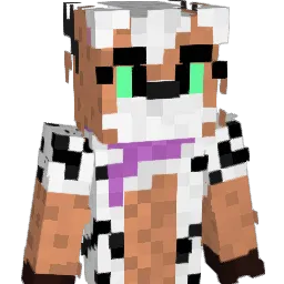 Aok9999 Minecraft avatar bust