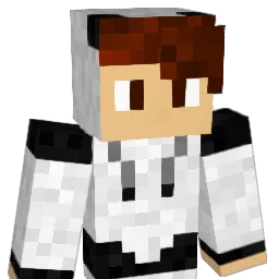 ApcalypticpandA Minecraft avatar bust