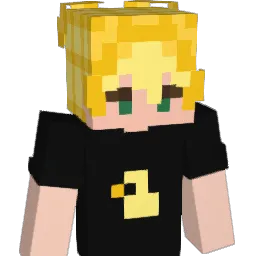 Api242_ Minecraft avatar bust