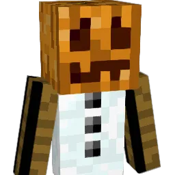 Apollo1102 Minecraft avatar bust