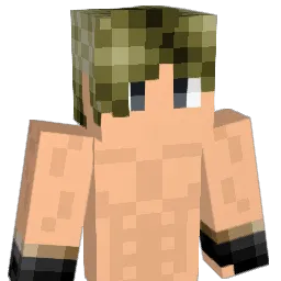 Apollololol Minecraft avatar bust