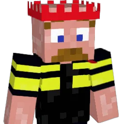 AppelSapjuuh Minecraft avatar bust