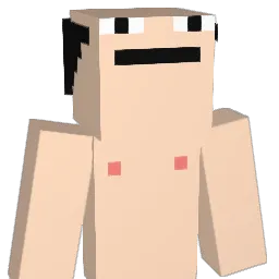 Appi_69 Minecraft avatar bust