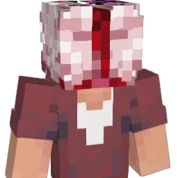 Apple_bees_ Minecraft avatar bust