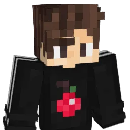 Appleboy2204 Minecraft avatar bust