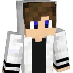 Approxx_ Minecraft avatar bust