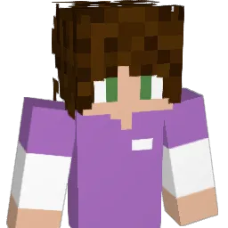 Apwox Minecraft avatar bust
