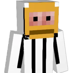ArWeReddy Minecraft avatar bust