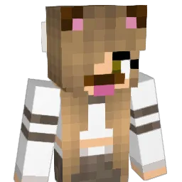 AraFloOder4H Minecraft avatar bust