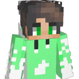 Ara_270 Minecraft avatar bust