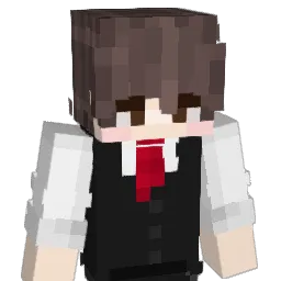 Ara__24 Minecraft avatar bust