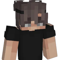 Ara_a Minecraft avatar bust
