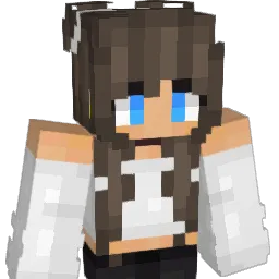Aras0303 Minecraft avatar bust