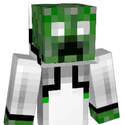 Arashi_BE Minecraft avatar bust