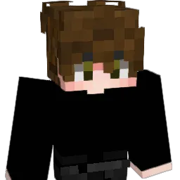 ArcToArctvrvs Minecraft avatar bust