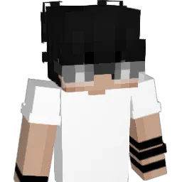 ArciveRage_ Minecraft avatar bust