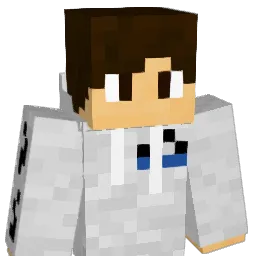 Arctani's Minecraft skin