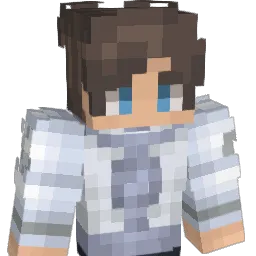 ArcticXI Minecraft avatar bust