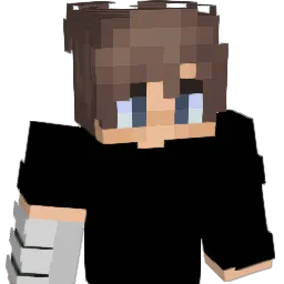Ardhii Minecraft avatar bust