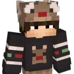 Aregda2143 Minecraft avatar bust