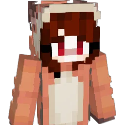 AriGang008 Minecraft avatar bust