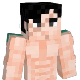 AriTurtle