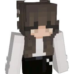 Ari_1411 Minecraft avatar bust