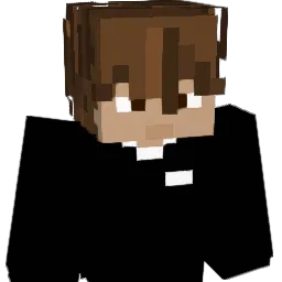 Arikouz Minecraft avatar bust