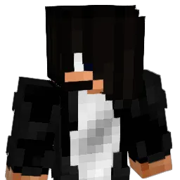 Arin_MC