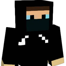 Ariri0804 Minecraft avatar bust