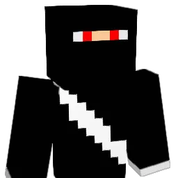 Arkham_Network Minecraft avatar bust