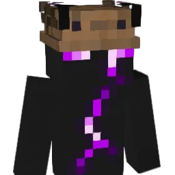 Arknein's Minecraft skin