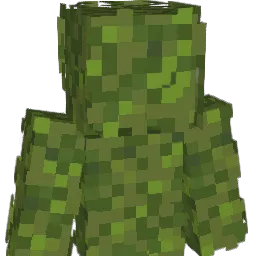 ArmsWithHands's Minecraft skin