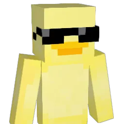 Arne_26 Minecraft avatar bust