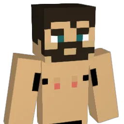 Arnfinnsen Minecraft avatar bust