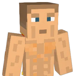 Arni1312 Minecraft avatar bust