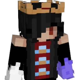 ArniZelawi Minecraft avatar bust