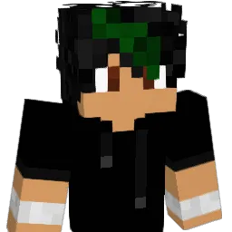 Arnie2008 Minecraft avatar bust