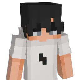 Arnor2004 Minecraft avatar bust